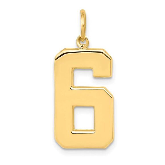 14k Yellow Gold, Athletic Collection, Large Polished Number 6 Pendant - Picture 1 of 4